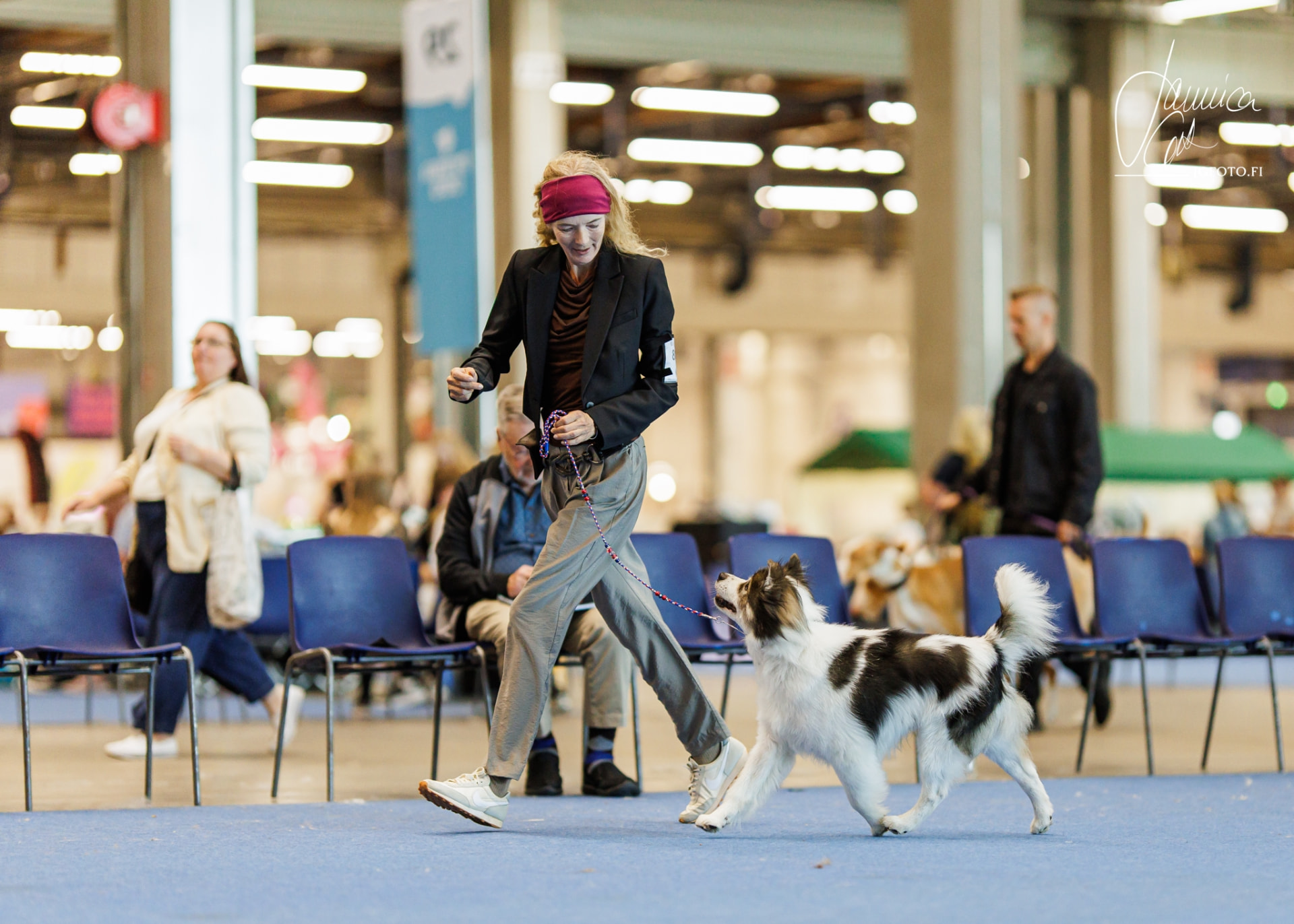 Mamba at the World Dog Show 2025, Helsinki