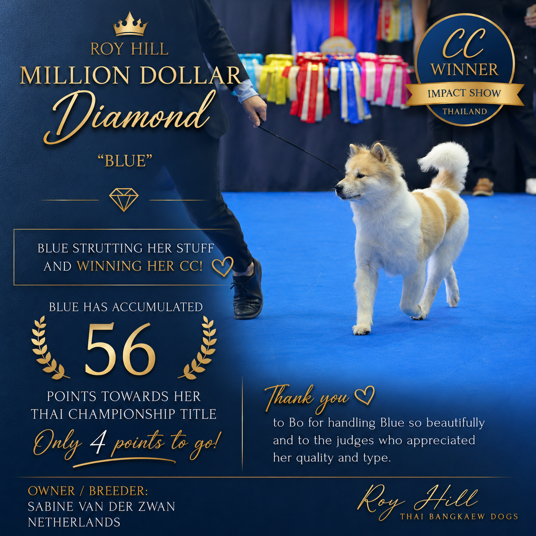 Roy Hill Million Dollar Diamond