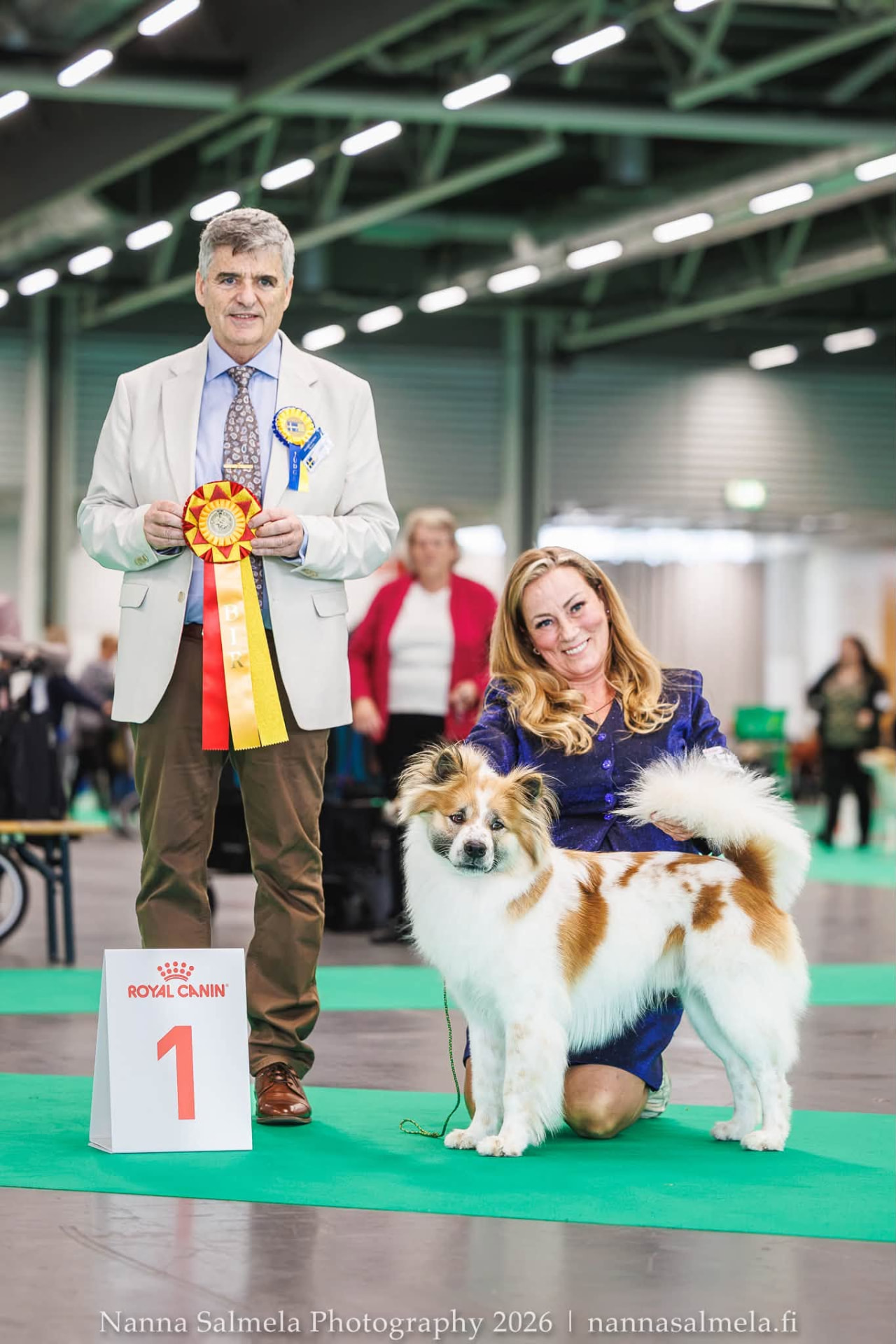 Roy Hill Thai Tiger stacked in the show ring beside the judge